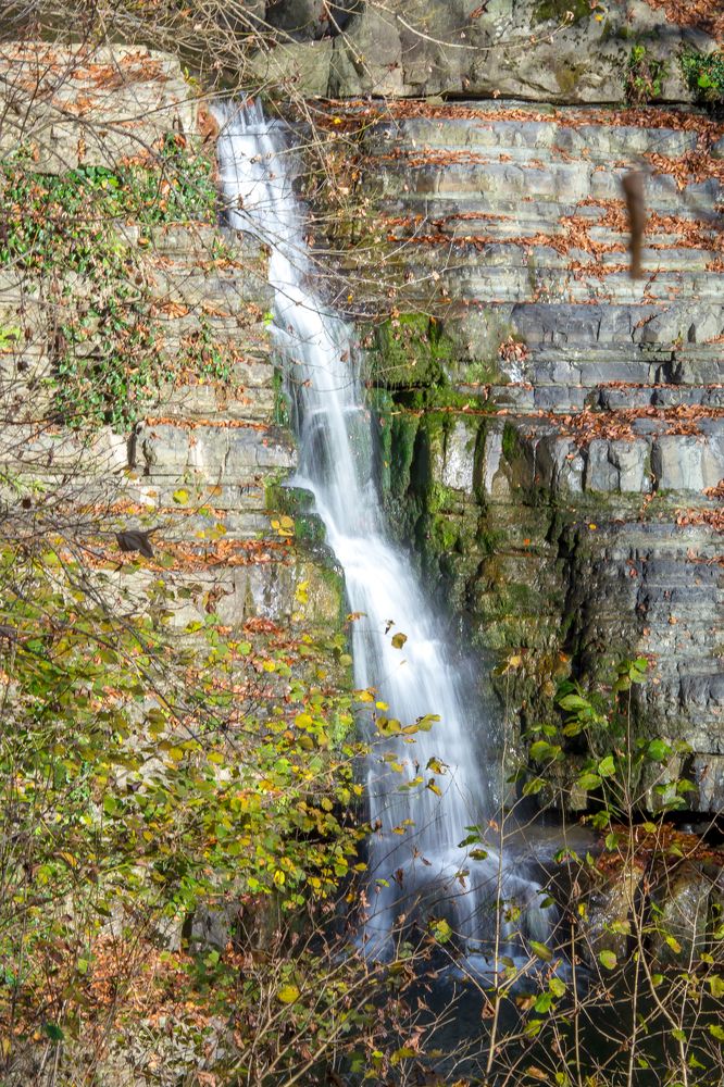 Photograph by Евгения Бочарова