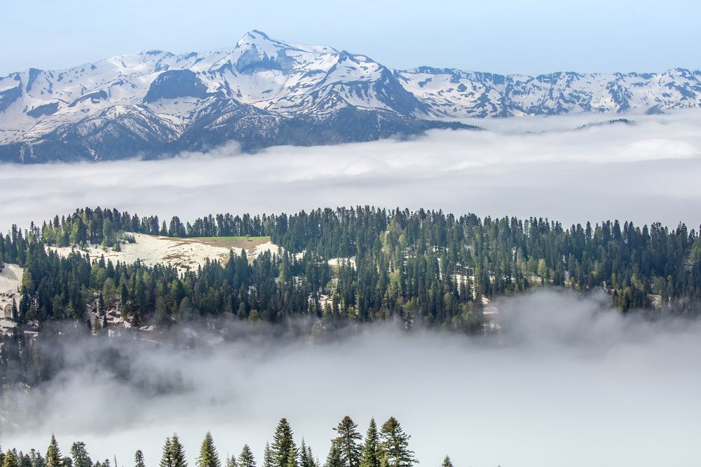 Photograph by Евгения Бочарова