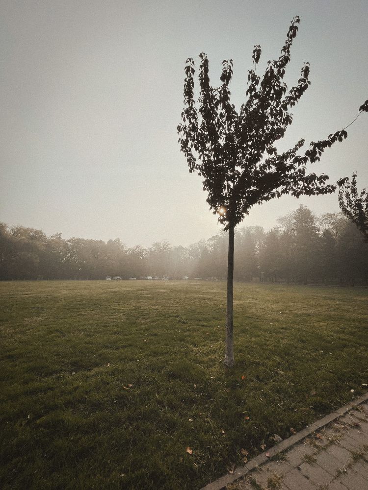 Фотография автора Oxana Yurasova