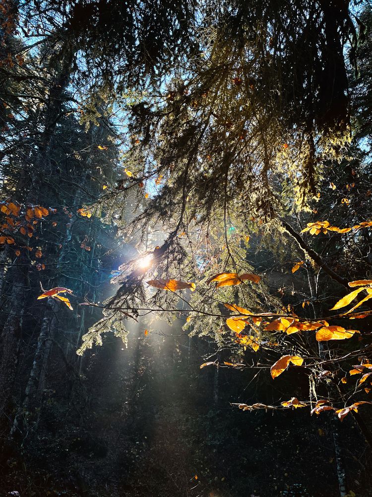 Фотография автора Oxana Yurasova