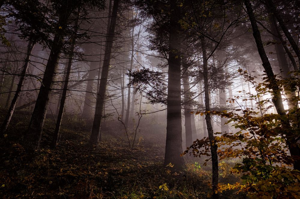 Photograph by Gianluca Marino