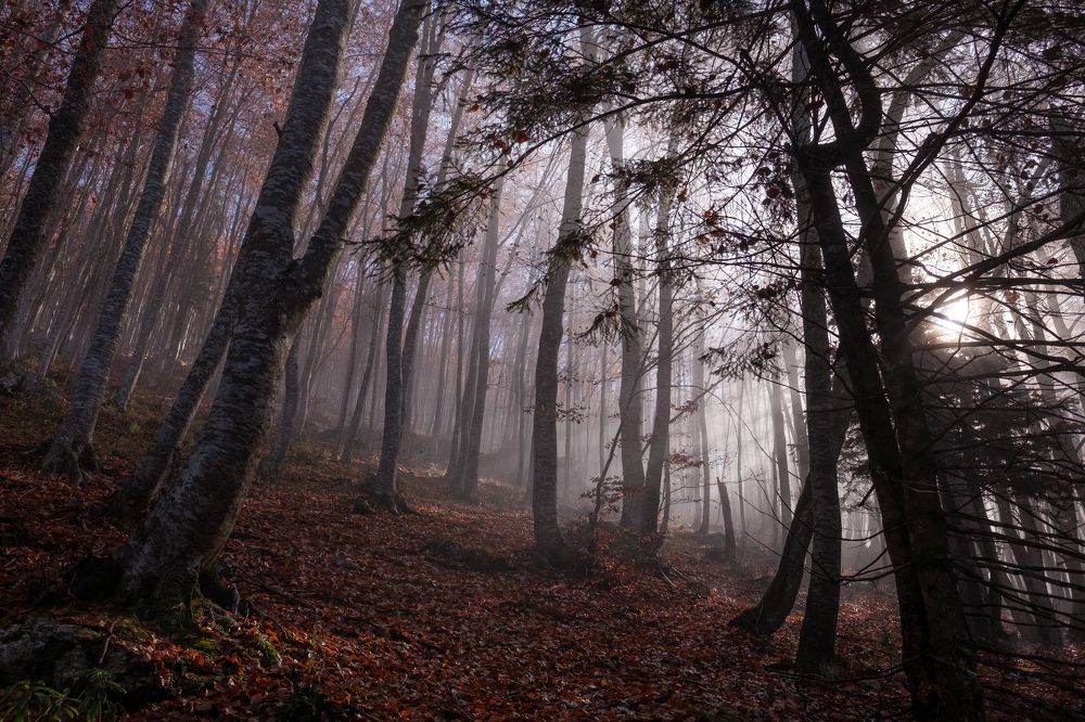 Photograph by Gianluca Marino