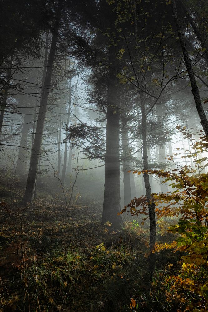 Photograph by Gianluca Marino