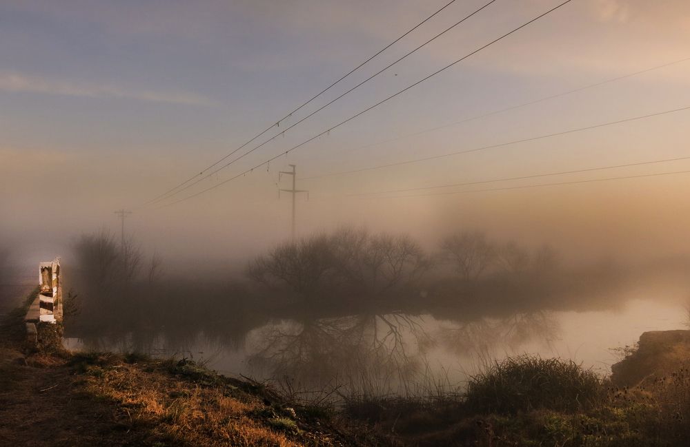 Photograph by Viviana García