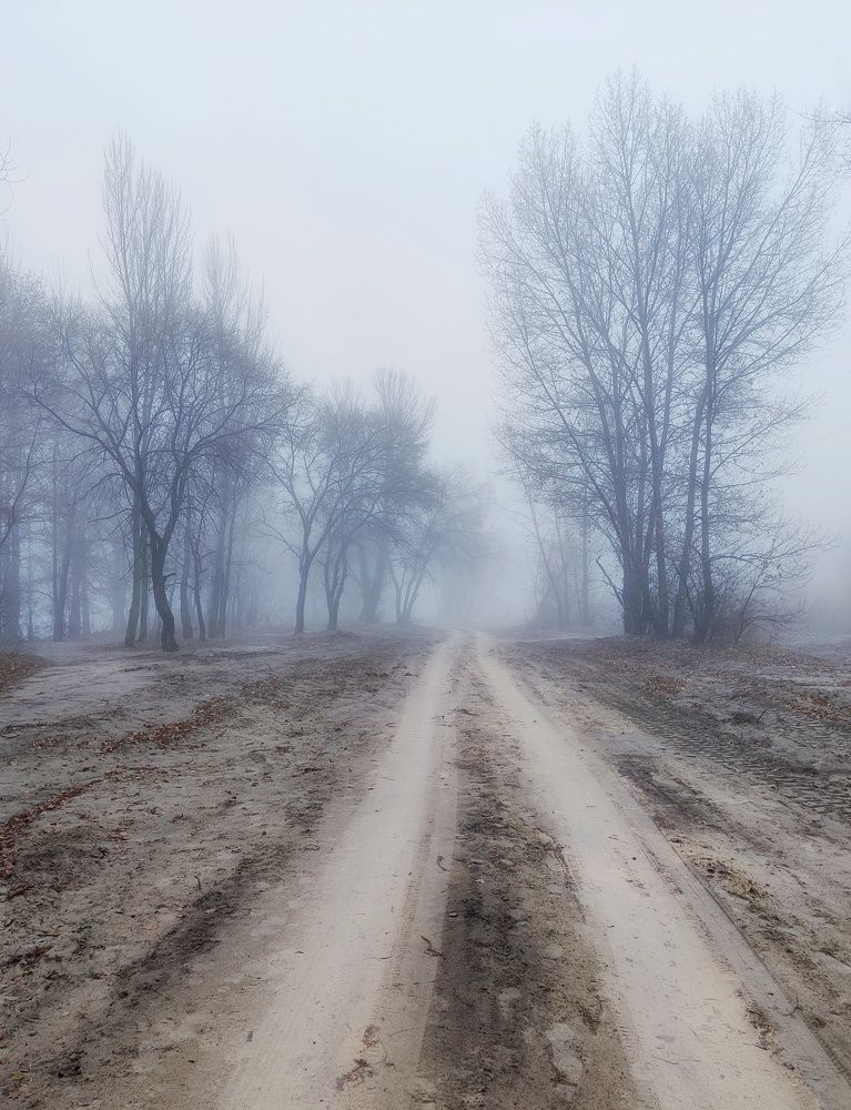 Photograph by Денис Воронин