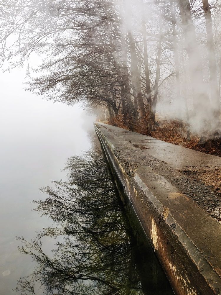 Photograph by Денис Воронин