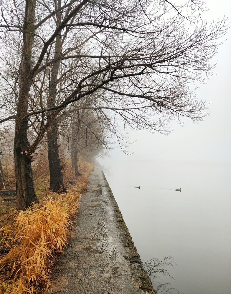 Photograph by Денис Воронин