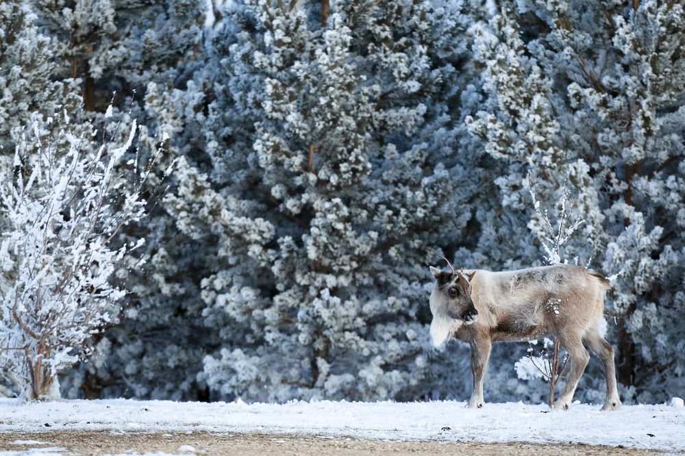 Photograph by Владимир Касьянов