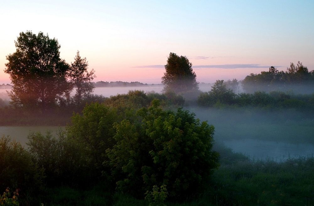 Photograph by Михаил Курзанцев