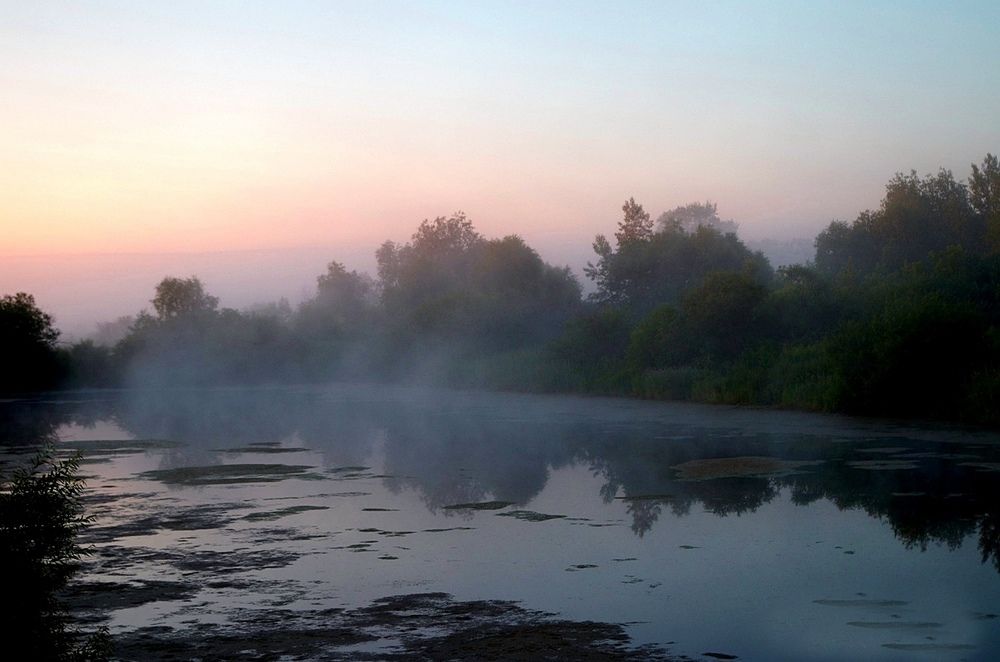 Photograph by Михаил Курзанцев