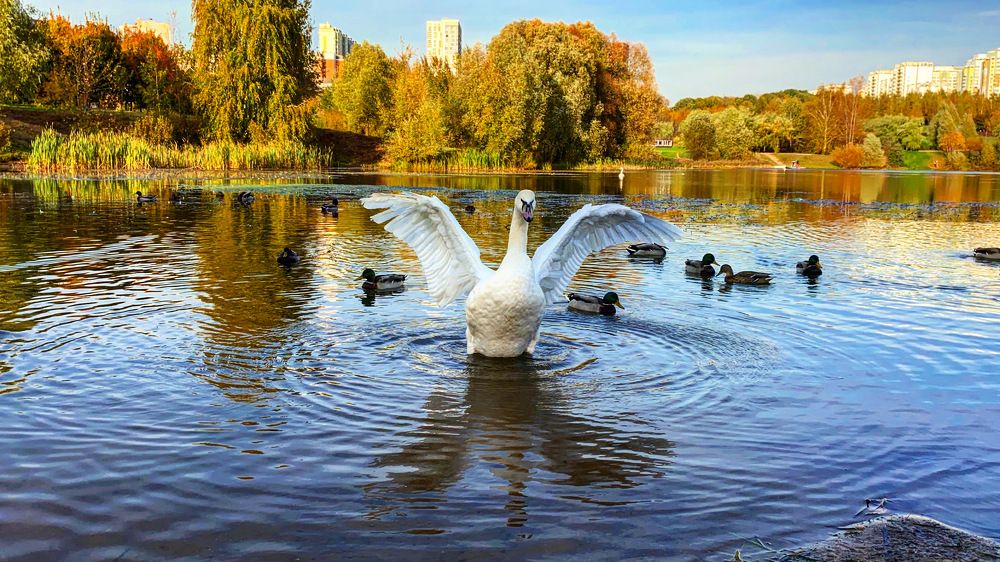 Photograph by Светлана Поляничева