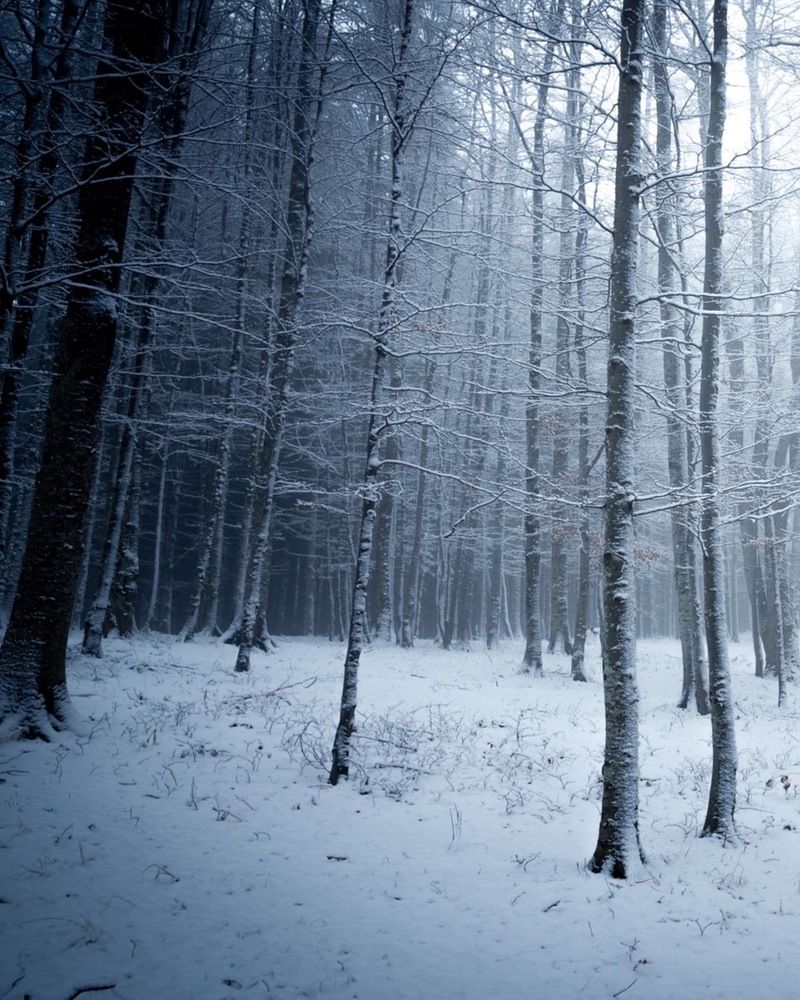 Photograph by Razvan