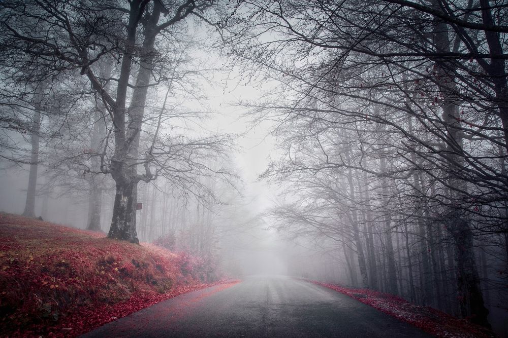 Photograph by Razvan