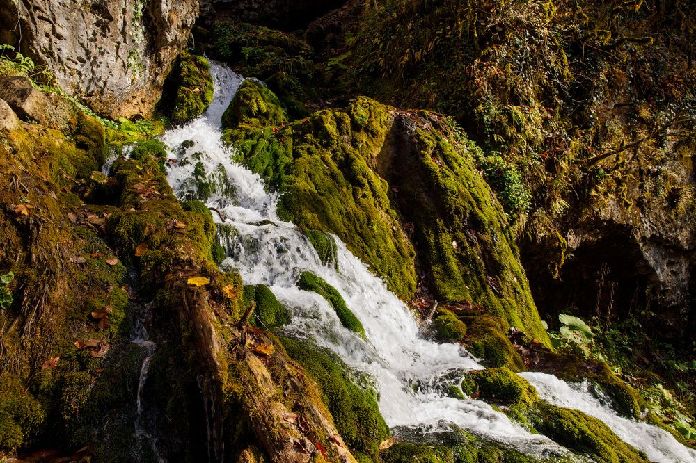 Photograph by Виктория Шакула