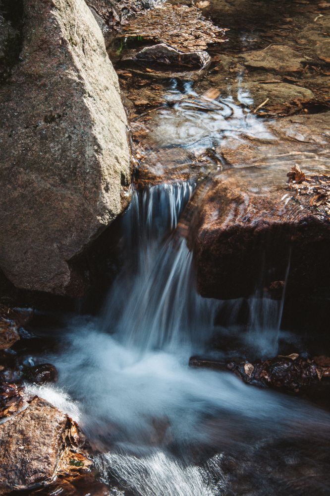 Photograph by Рината Горбацевич