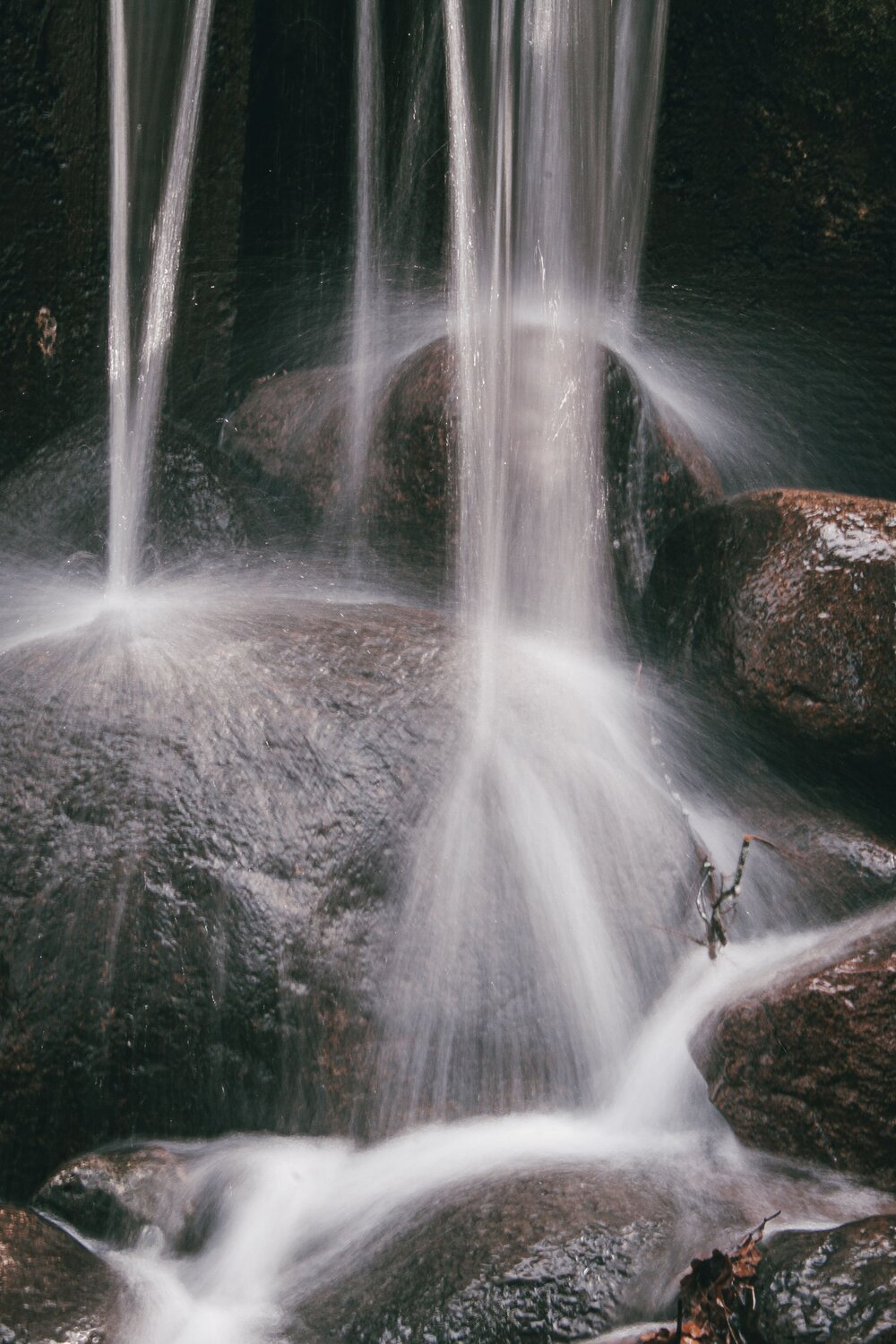 Photo #6839295
