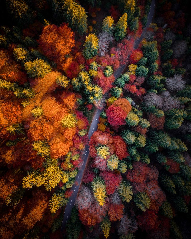 Photograph by Razvan