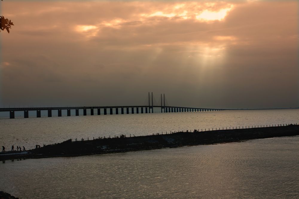 Photograph by Elena Noeva