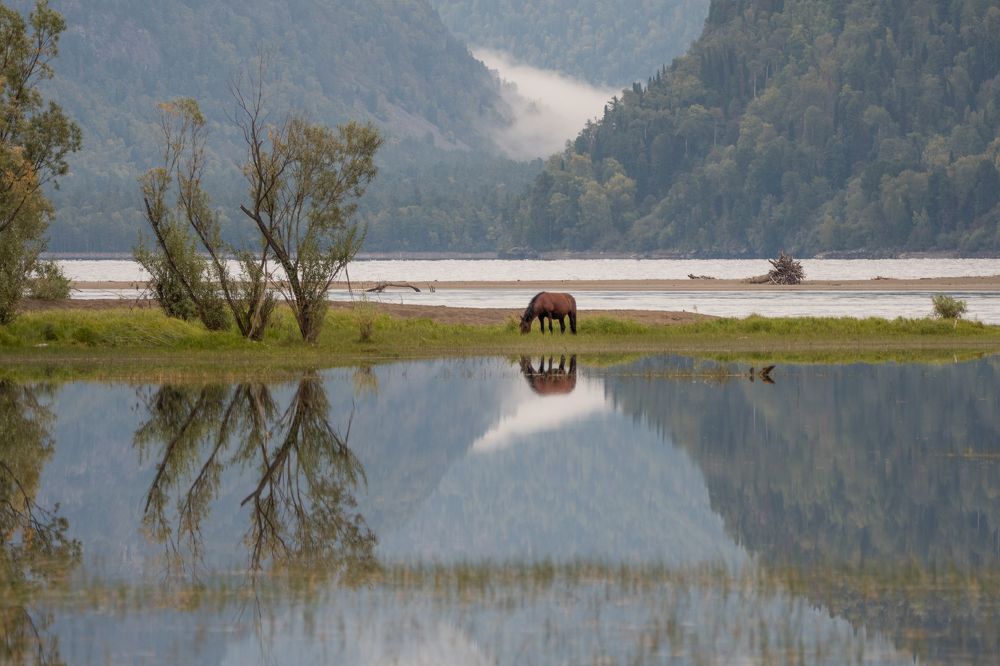 Photograph by Анастасия Григорян