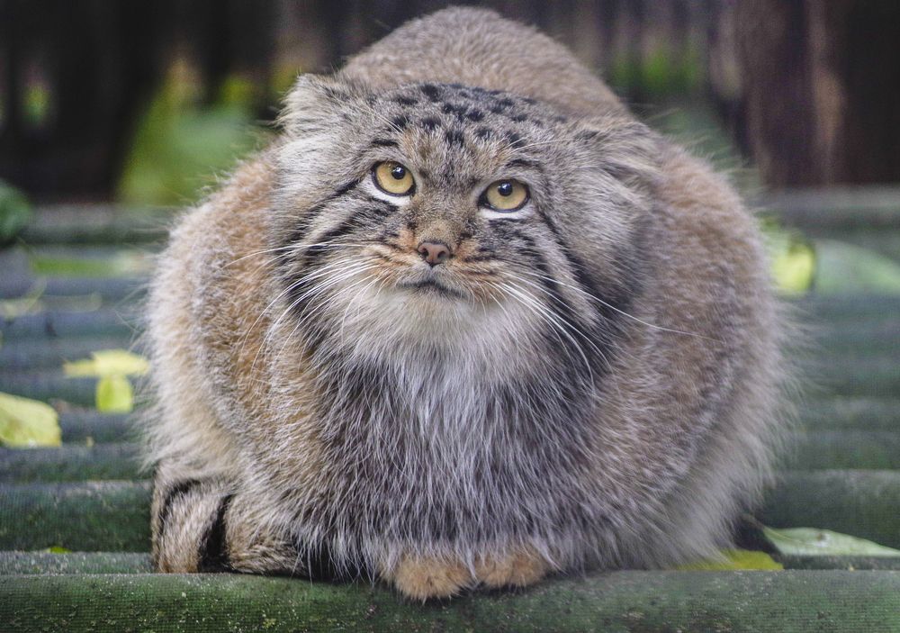 Photograph by Михаил