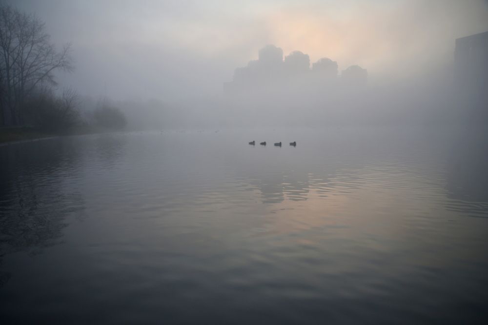 Photograph by Nik Rauzhin