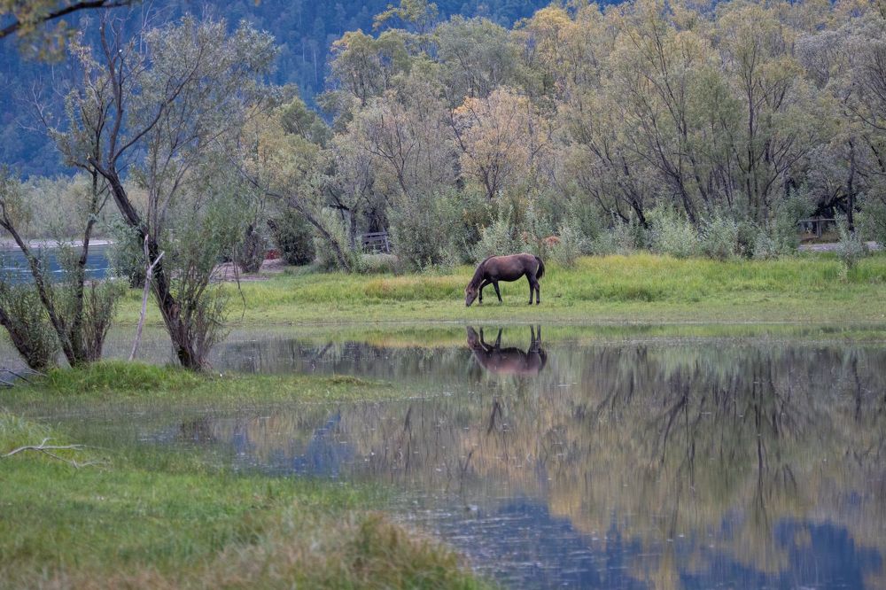 Photograph by Анастасия Григорян