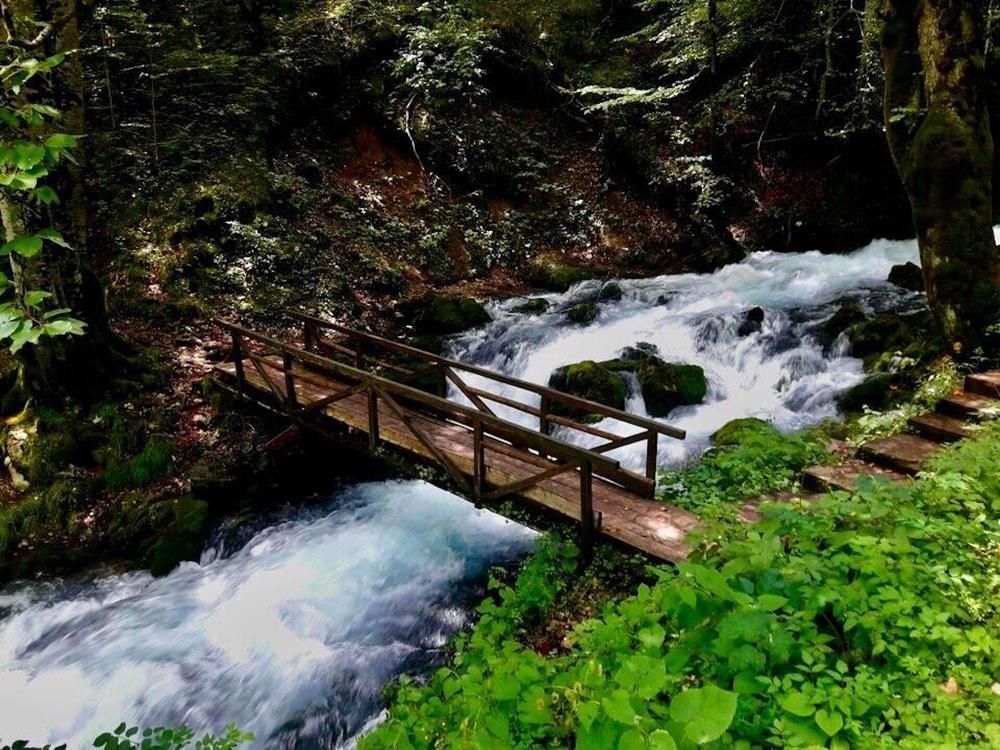 Photograph by Шестакова Наталья