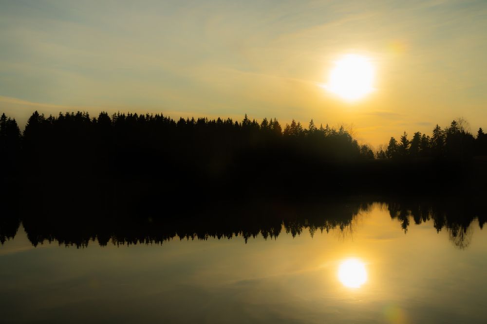 Photograph by Elena Noeva