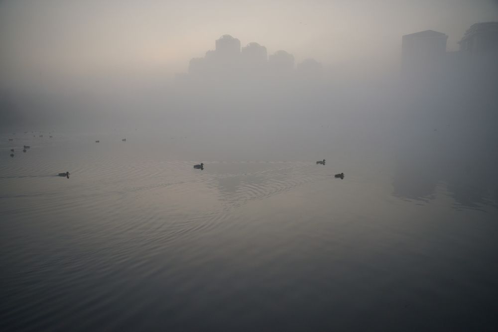 Photograph by Nik Rauzhin