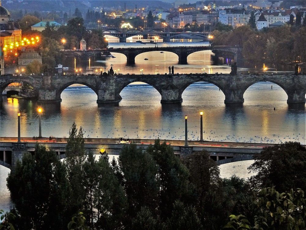 Photograph by Людмила