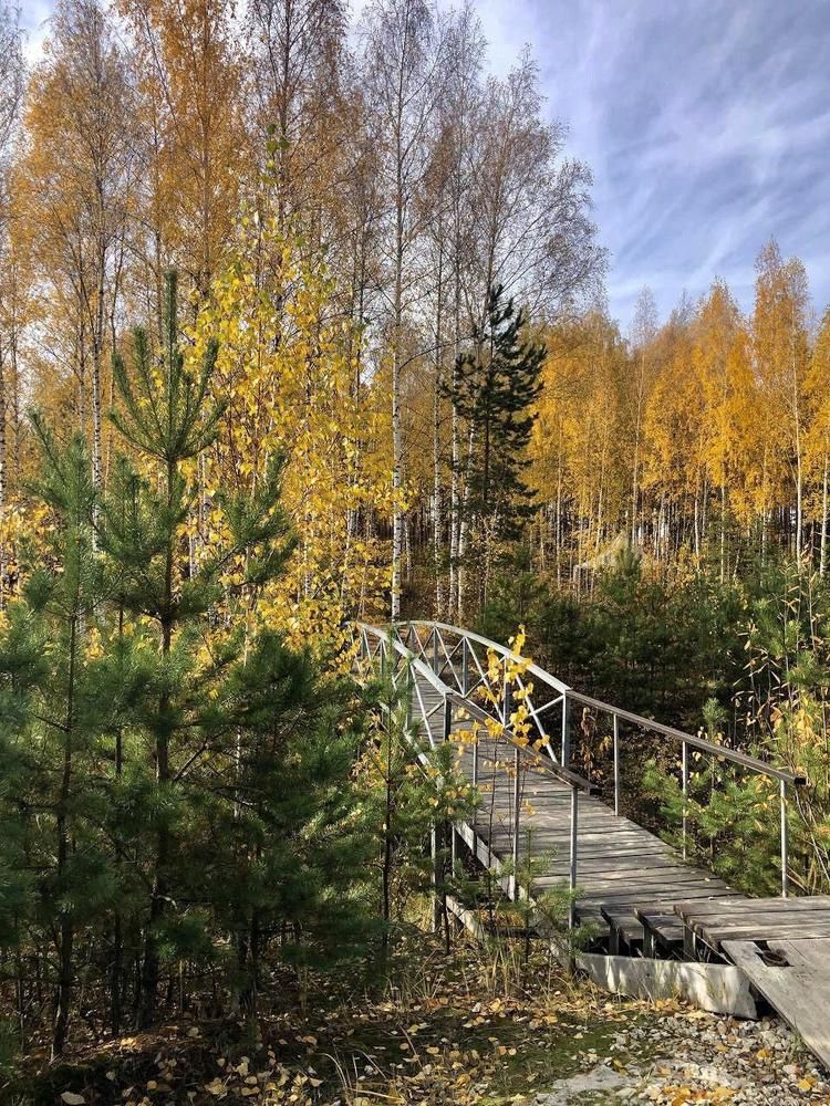 Photograph by Шестакова Наталья