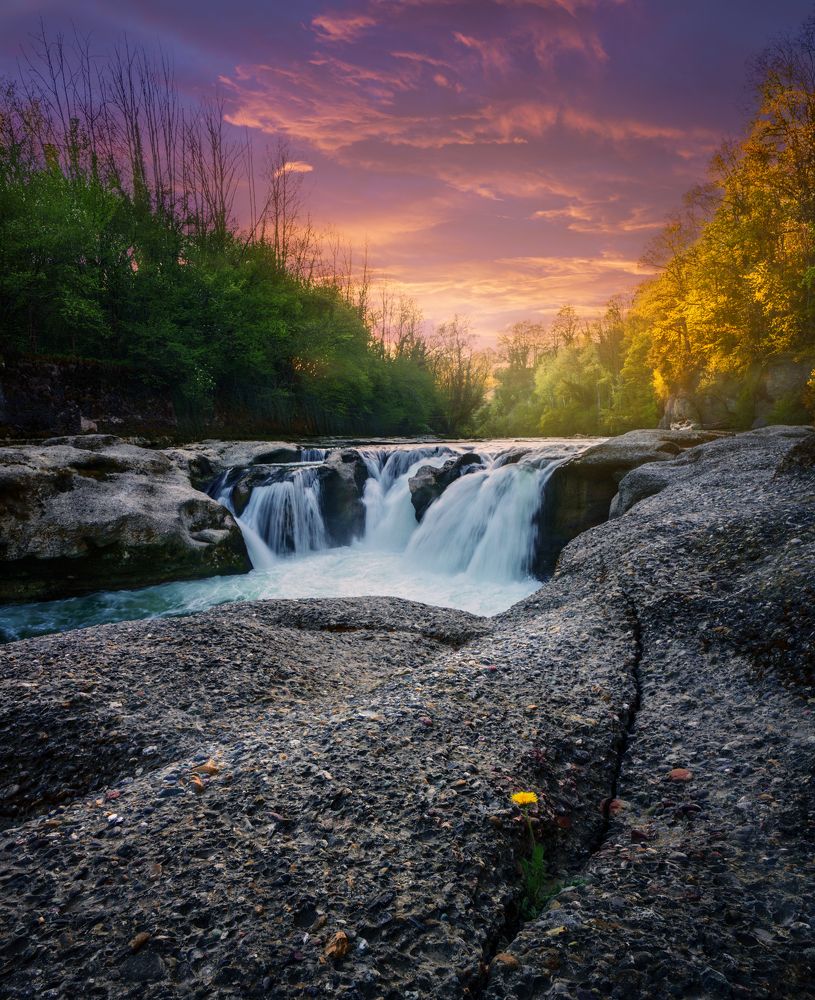 The Dandelion and the Waterfall