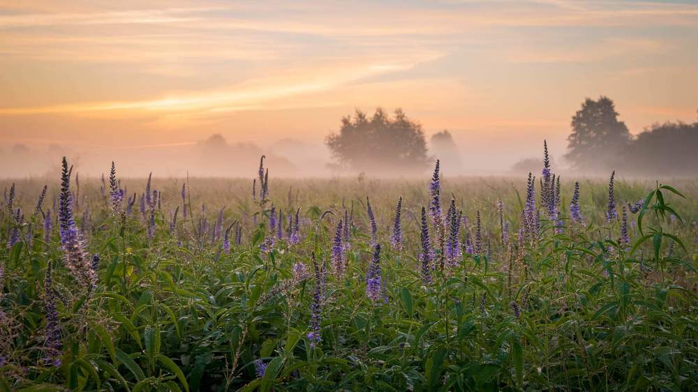 Фотография автора Lukasz Knop