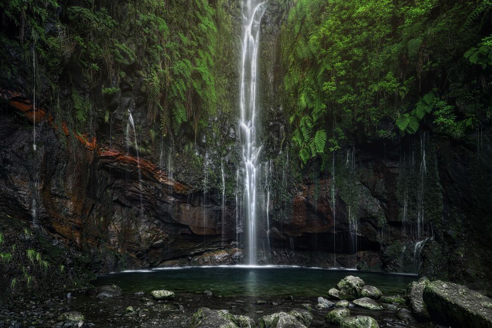 Photograph by Markus Heimbeck