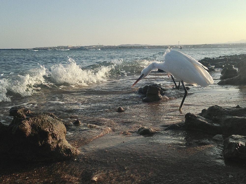 Photograph by Алексей Солдатов