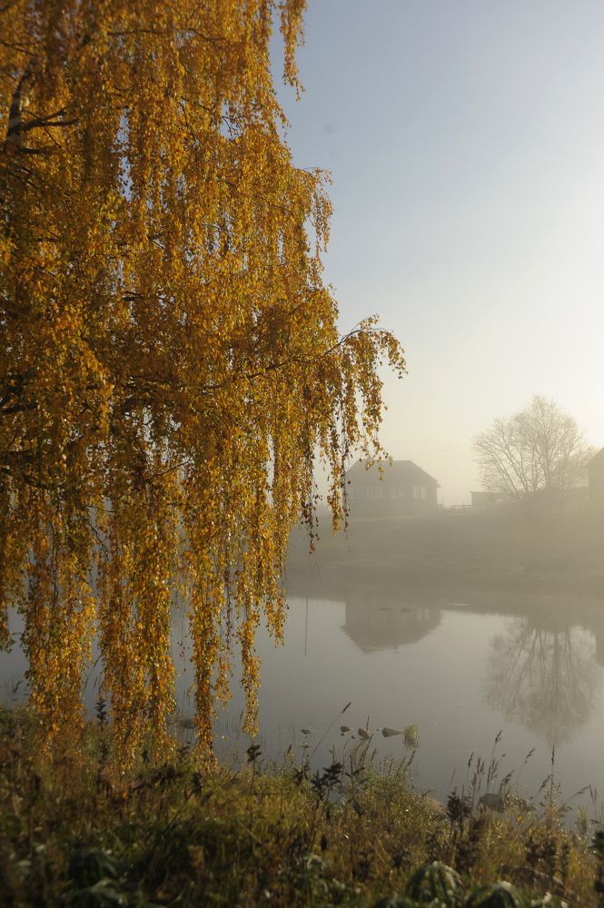 Photograph by Геннадий Тикка