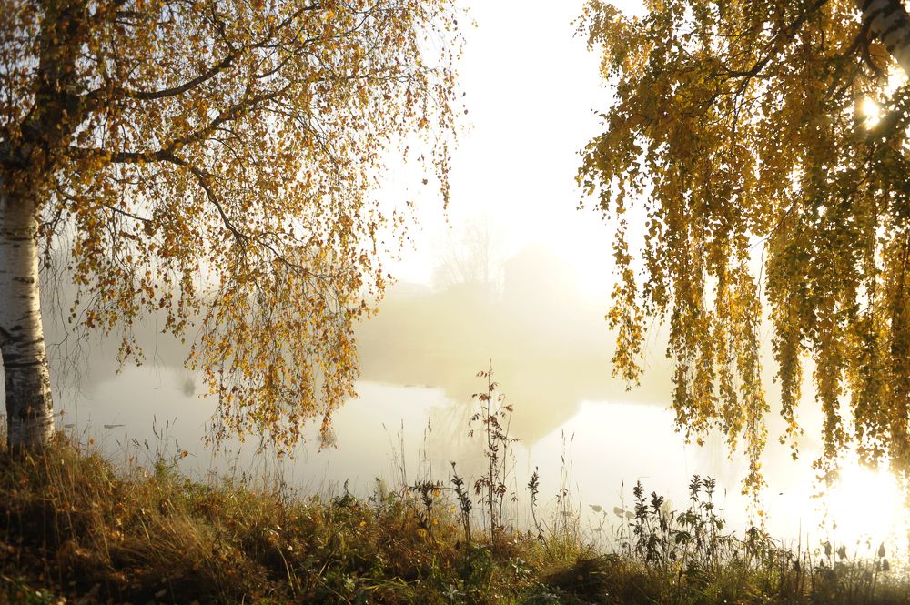 Photograph by Геннадий Тикка