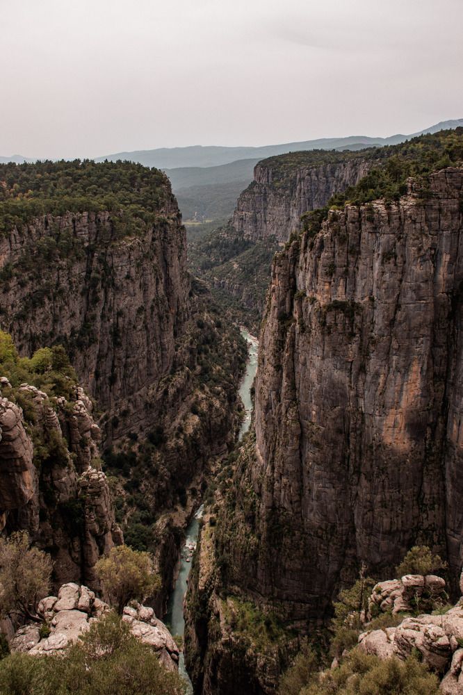 Photograph by Людмила Леонтьева