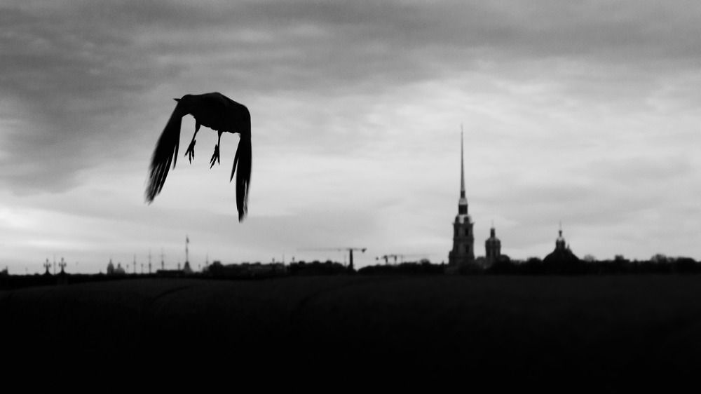 Photograph by Андрей Троицкий