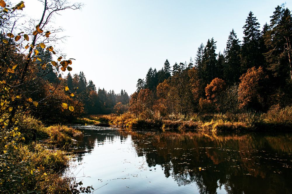 Photograph by Людмила Леонтьева