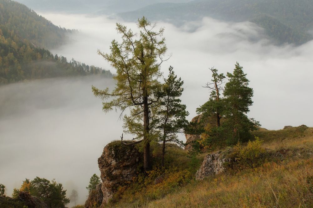 Photograph by Марина Фомина