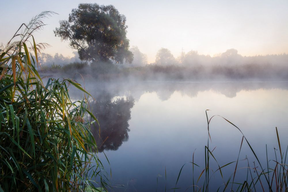 Фотография автора Валерий Лушин
