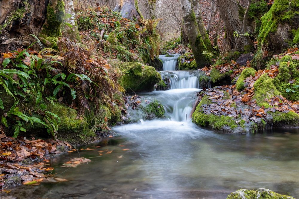 Photograph by Людмила Комарова