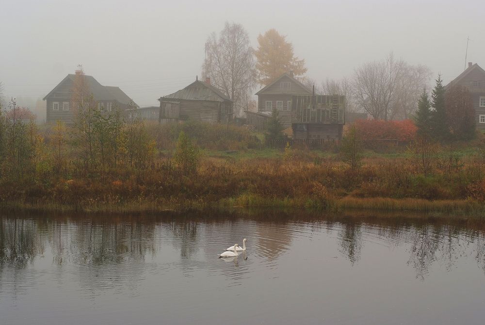 Photograph by Геннадий Тикка