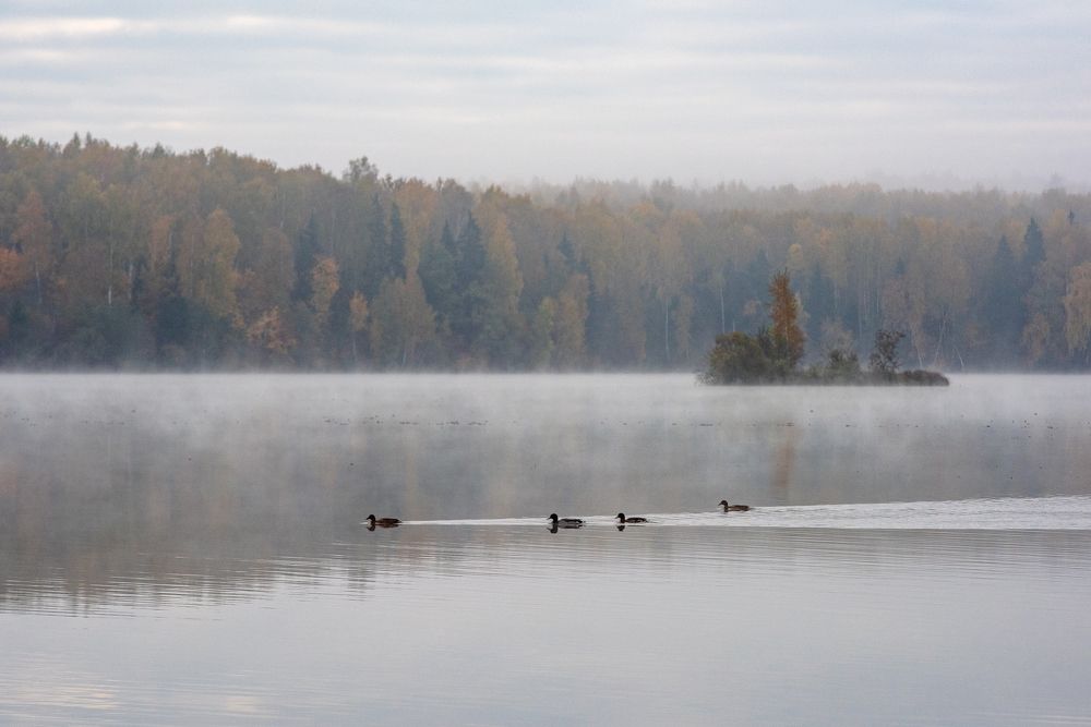Photograph by Илья Шамин