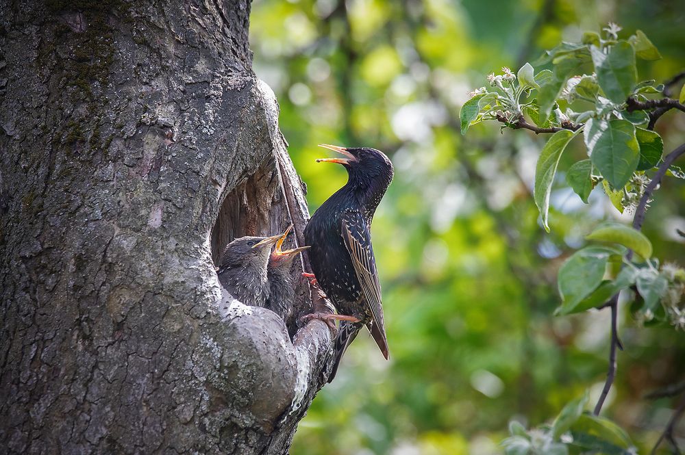 Фотография автора Юлия Сазанова