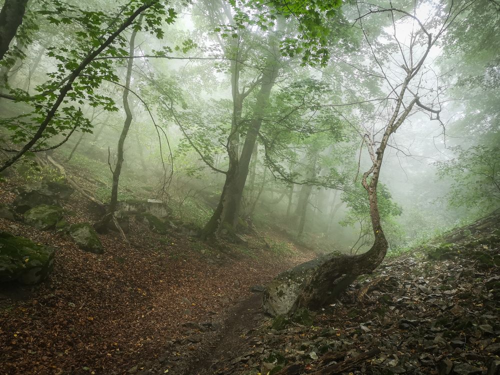 По дороге на Бештау ...