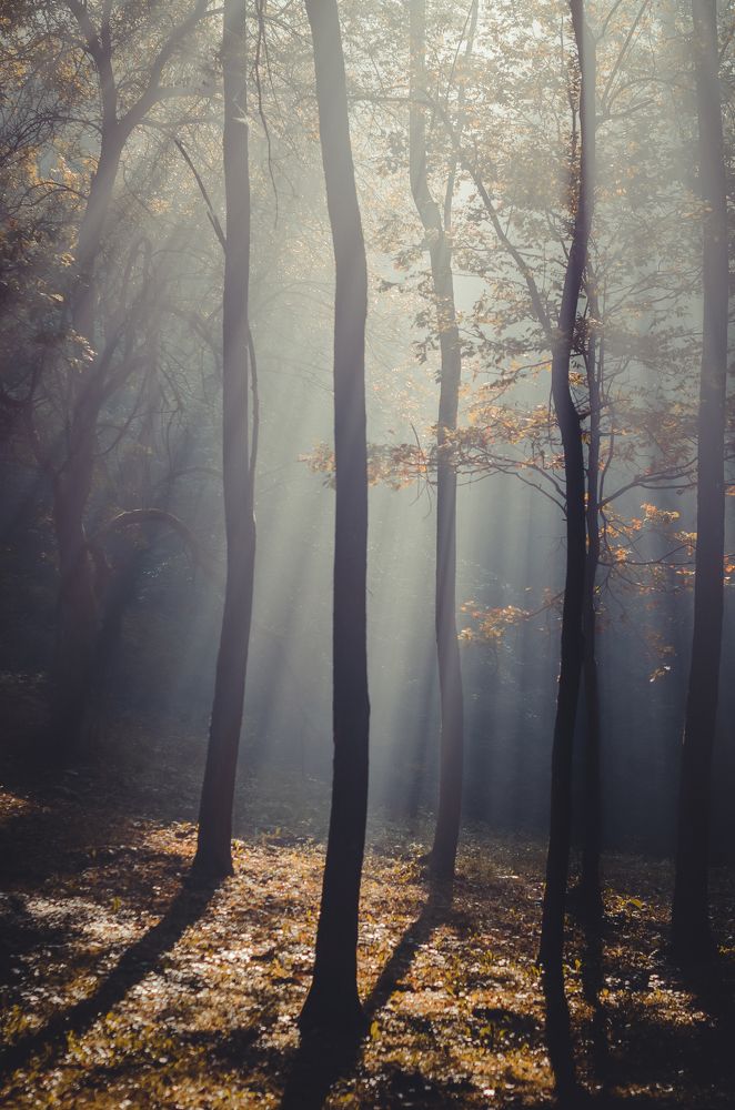 Photograph by Inga Cvijanovic