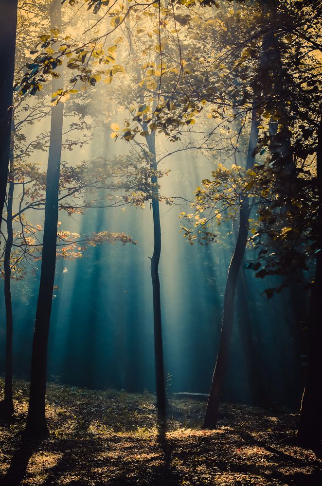 Photograph by Inga Cvijanovic
