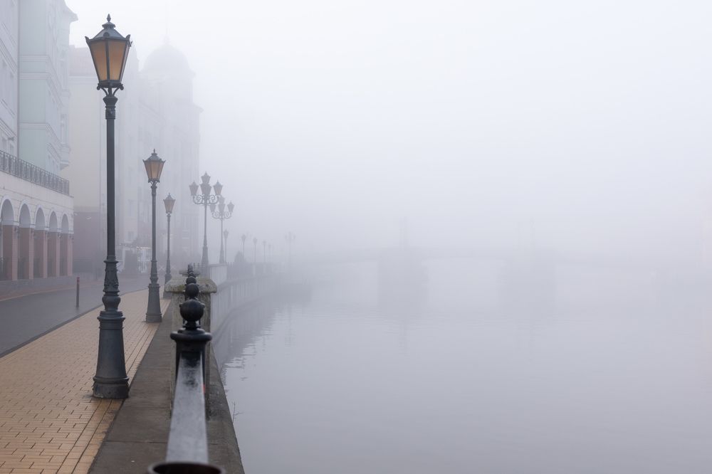 Photograph by Людмила Комарова